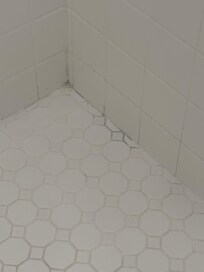 Mildew