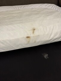 The pull out sofa this is the under neath the mattress