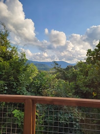 The view