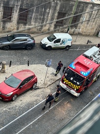 Action outside our window.