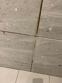 Water seepage along the toilet wall