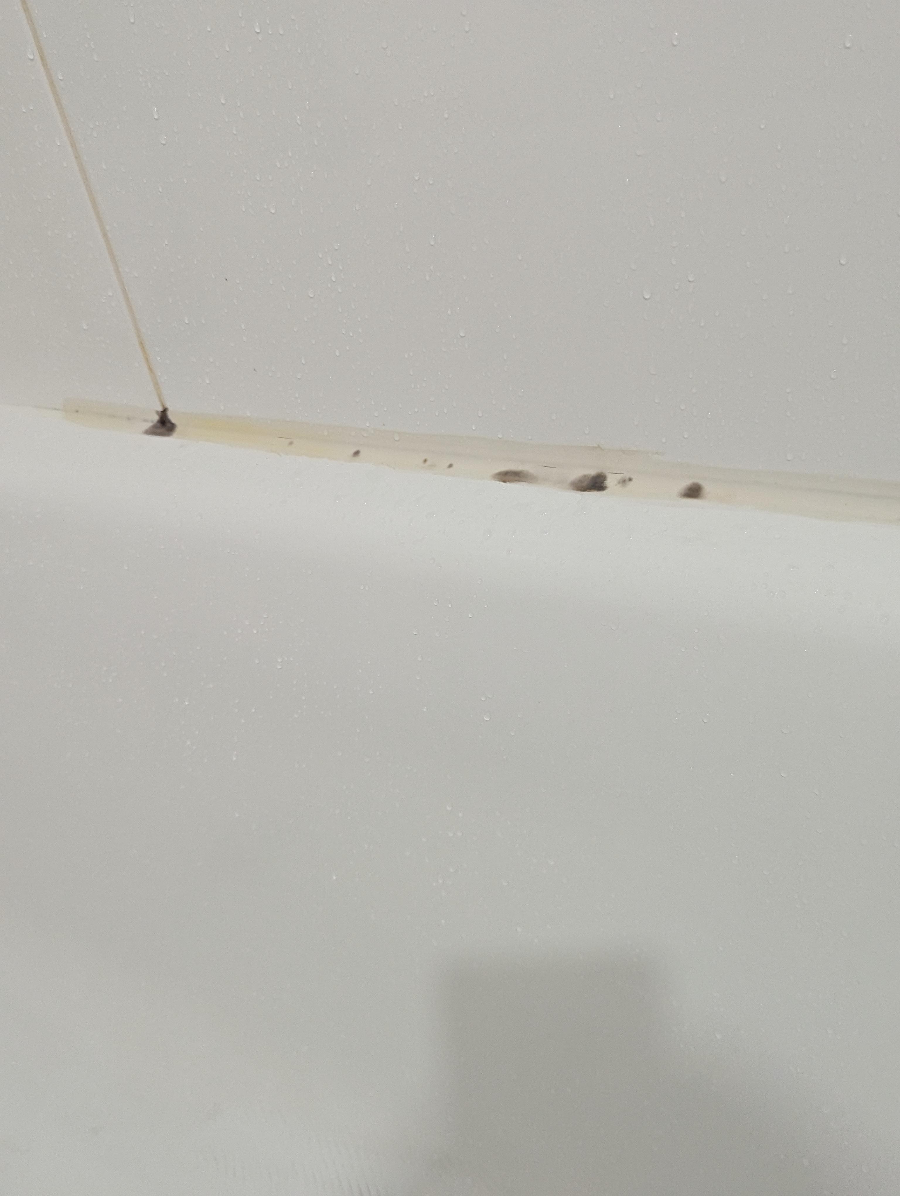 Mouldy bathtub 