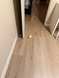 Water on the floor going into the master bedroom