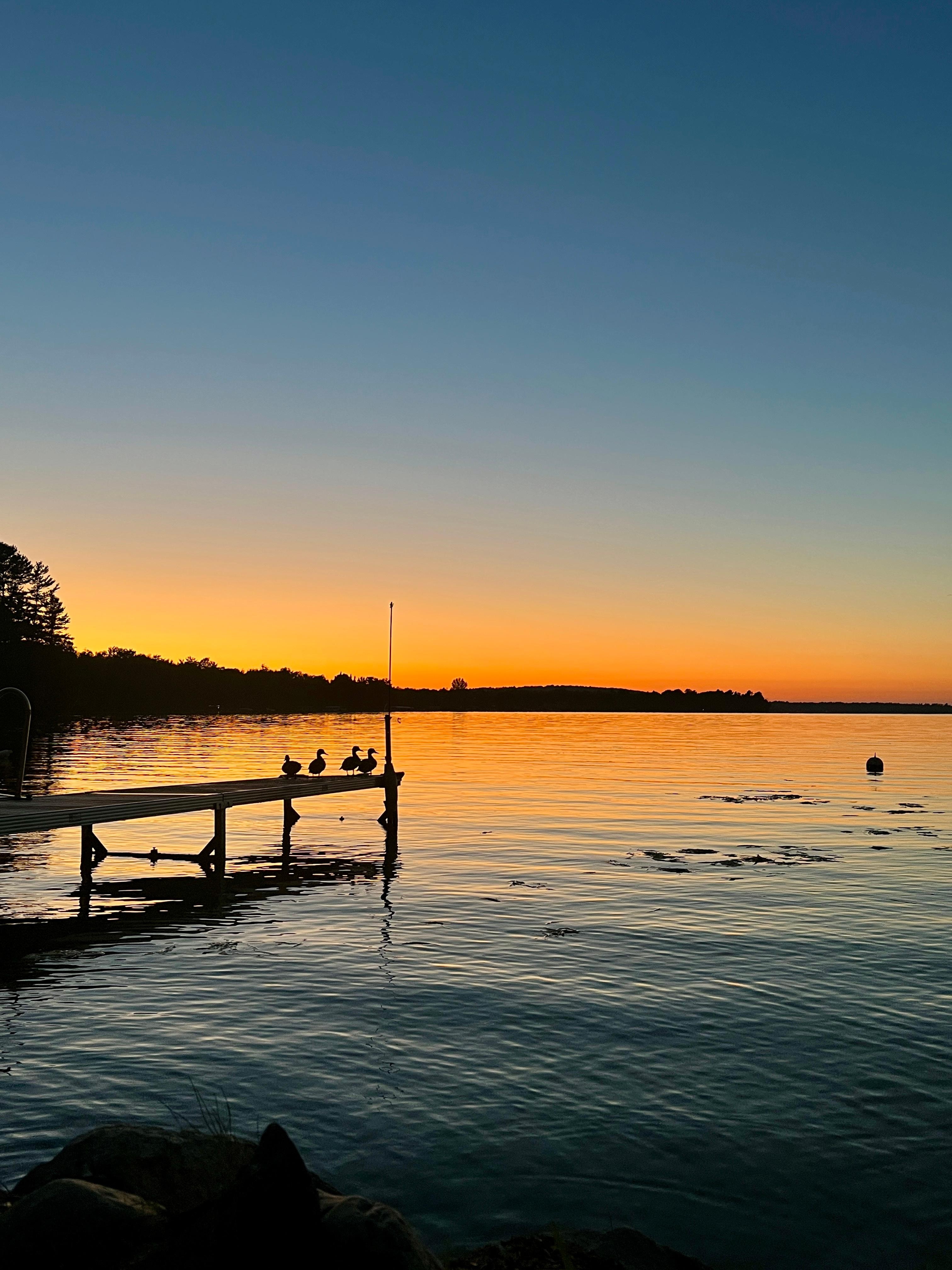 Sunset over the lake with ducks on the dock
