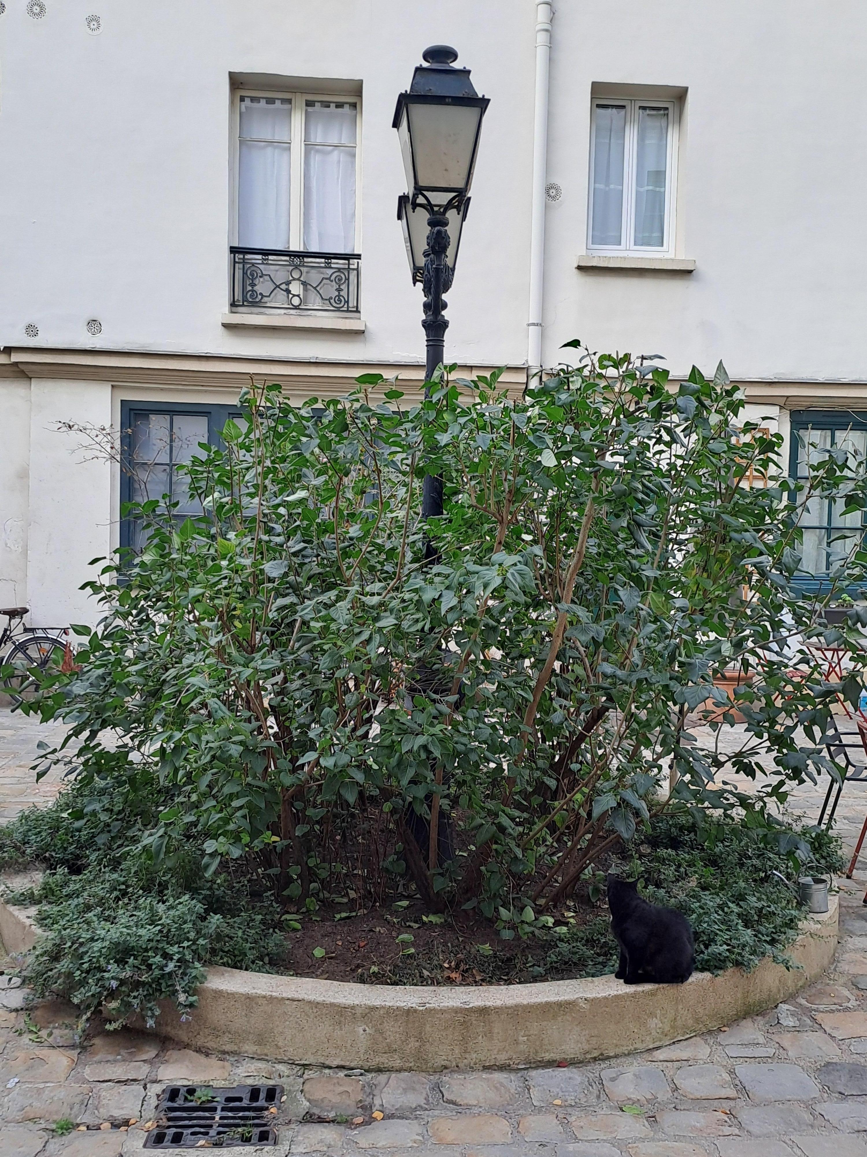 La petite courette bien sympathique 