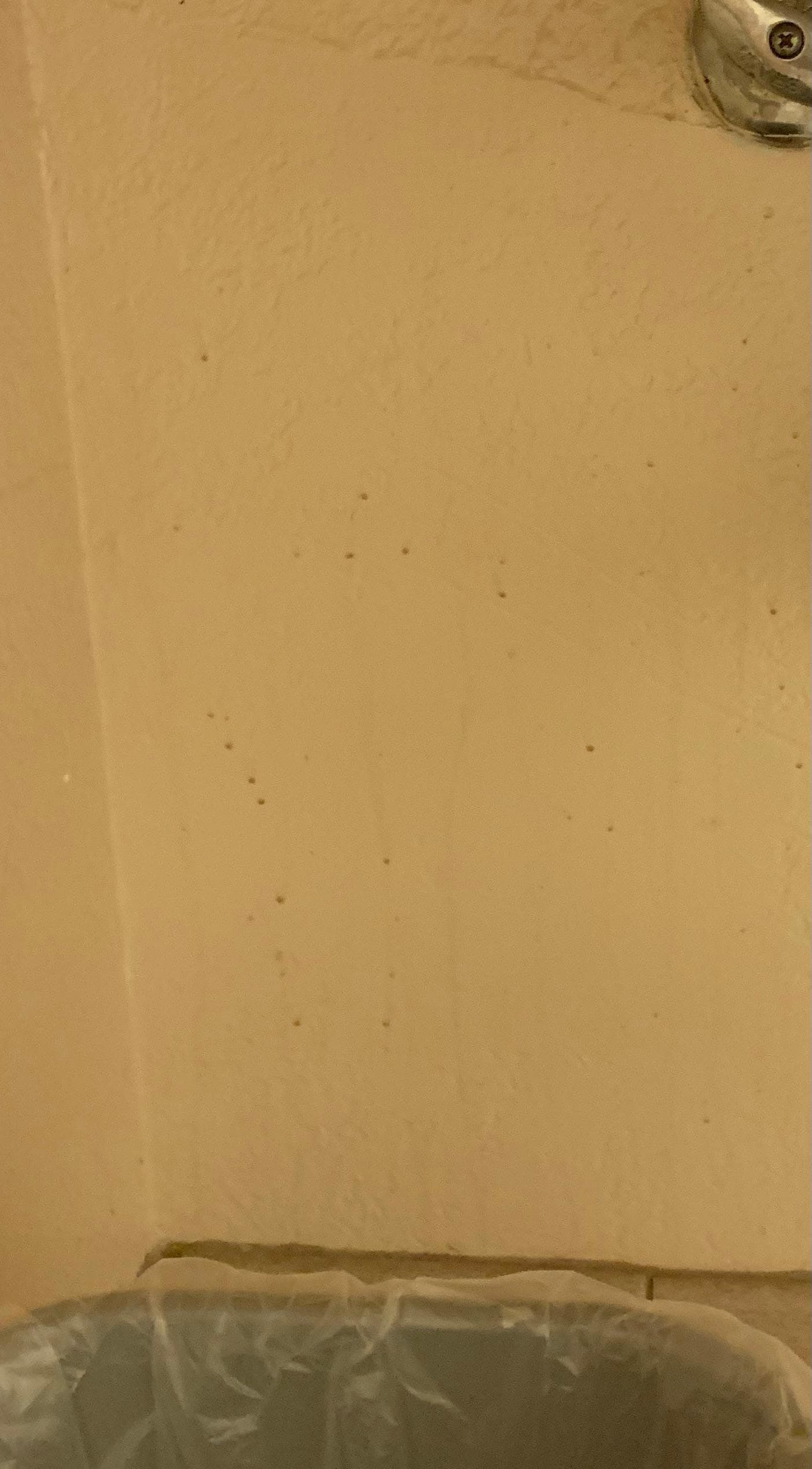 Filthy walls where garbage cans are stationed