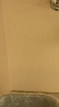 Filthy walls where garbage cans are stationed