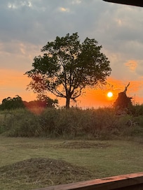 Beautiful sunset!🌅