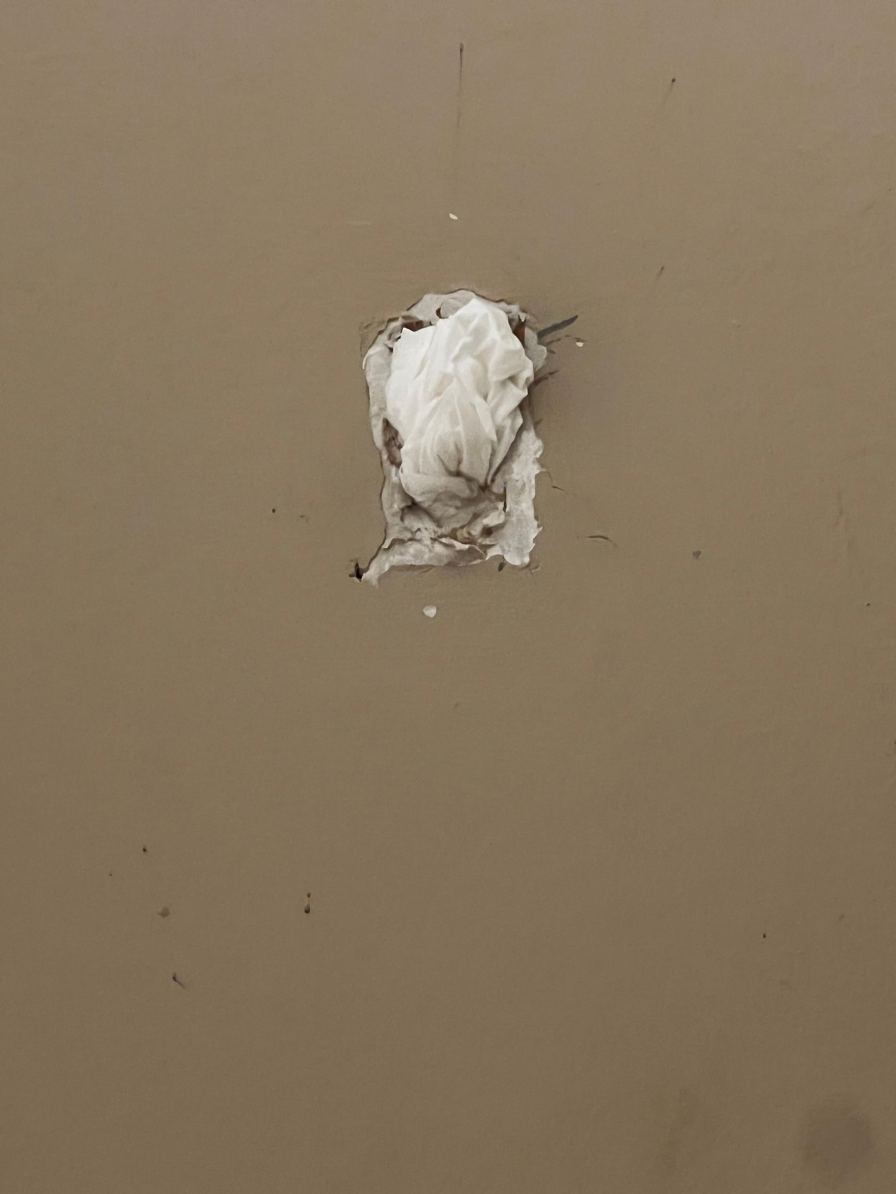 Two large holes in the bathroom that I stuffed with toilet paper.