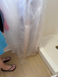 Pink mold on basement shower curtain.