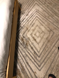 Carpet in the room