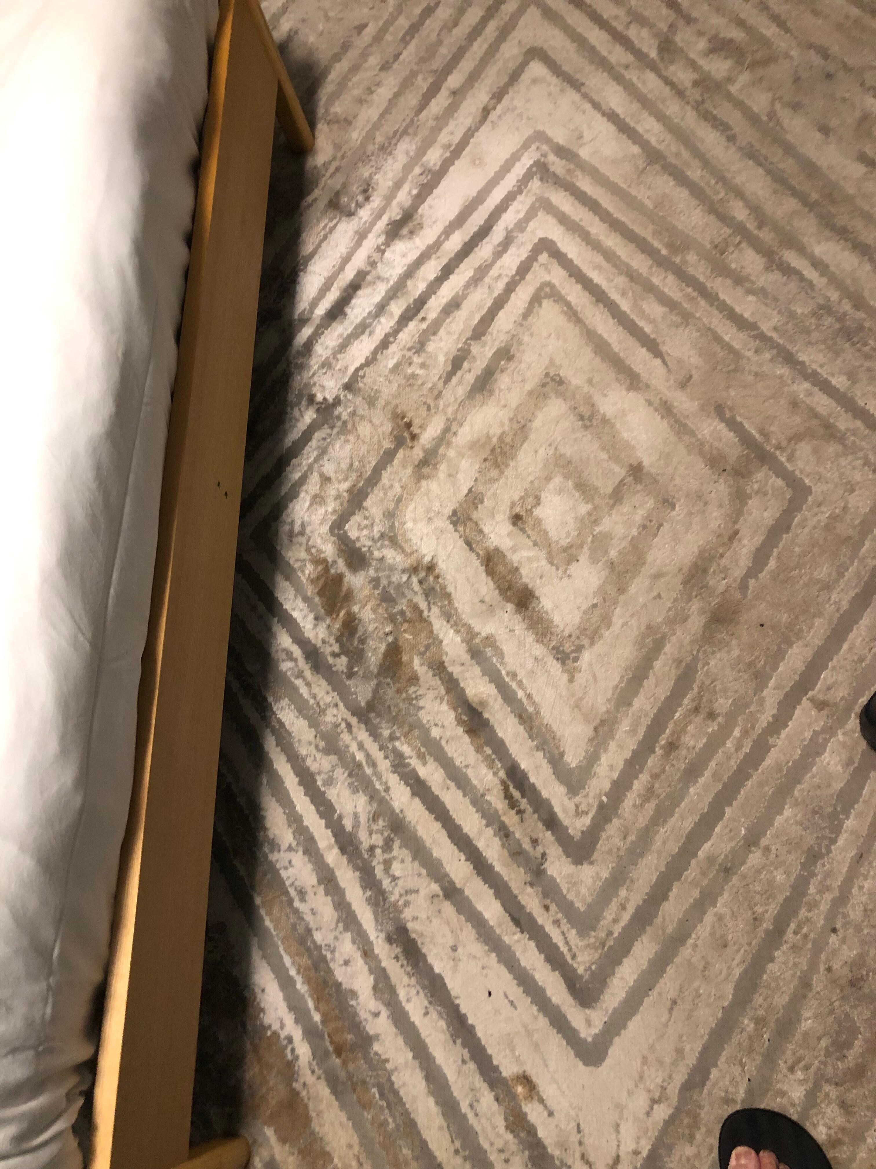 Carpet in the room