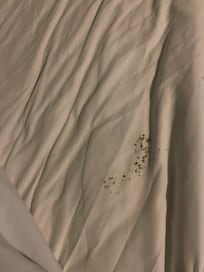 Mold on the bedsheets, this can kill you