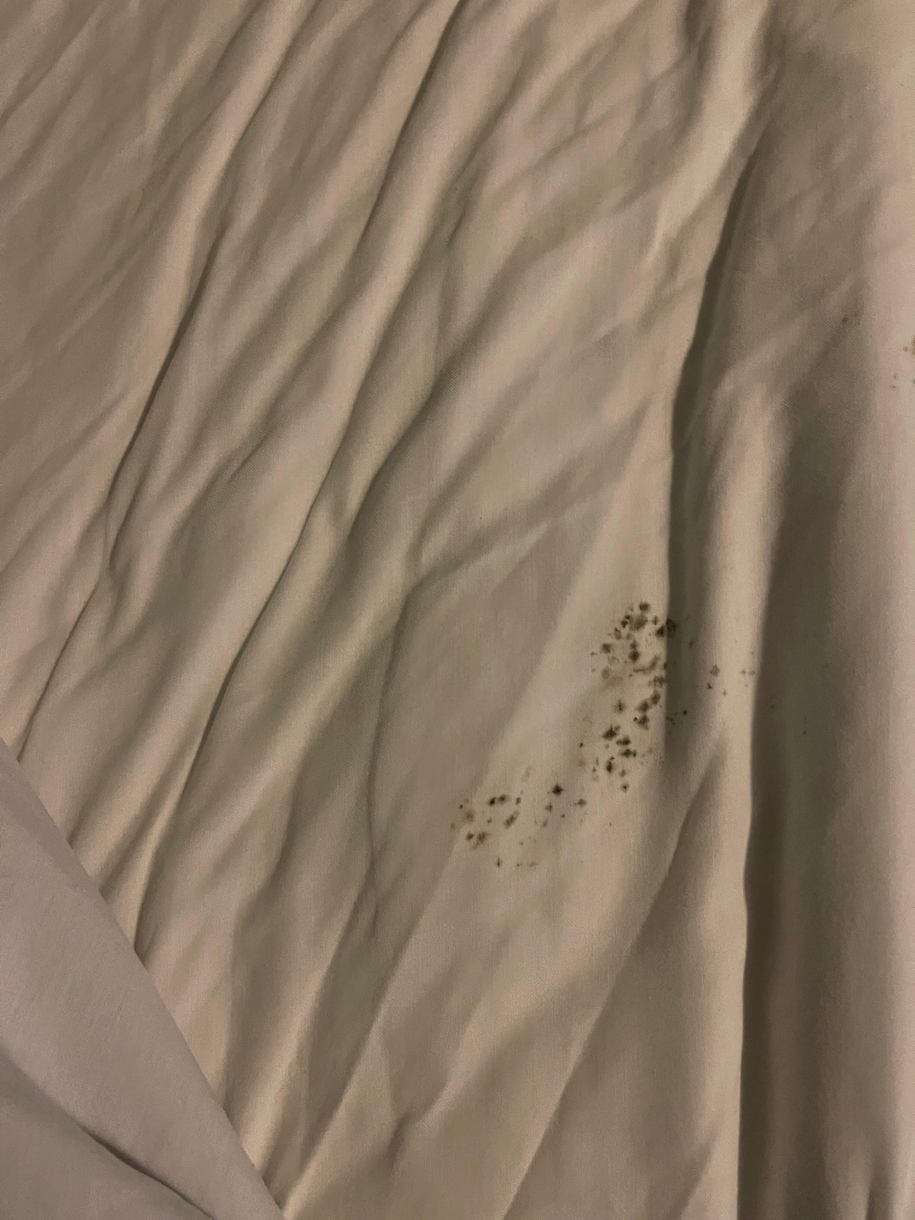 Mold on the bedsheets, this can kill you