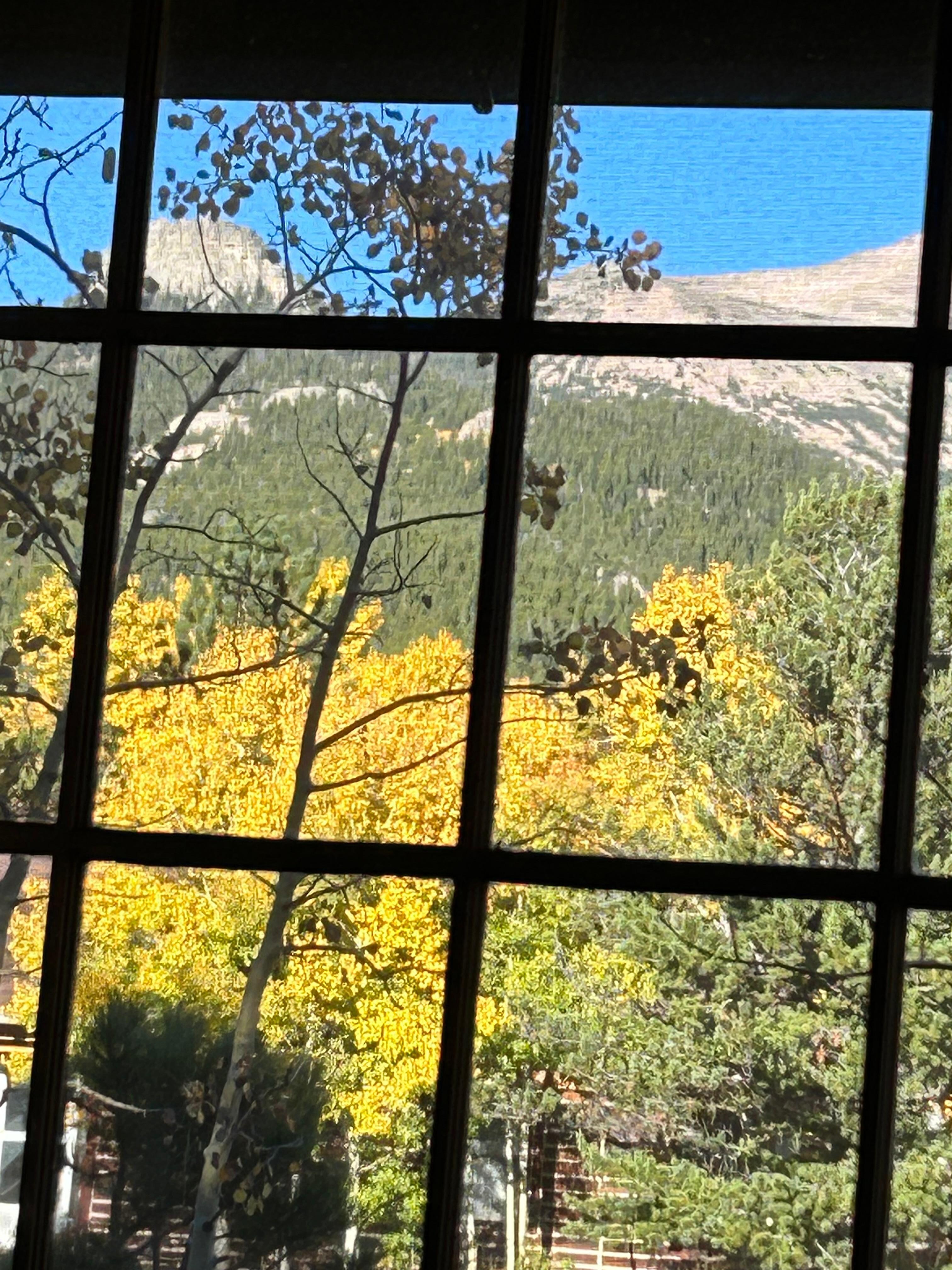 View out front bedroom