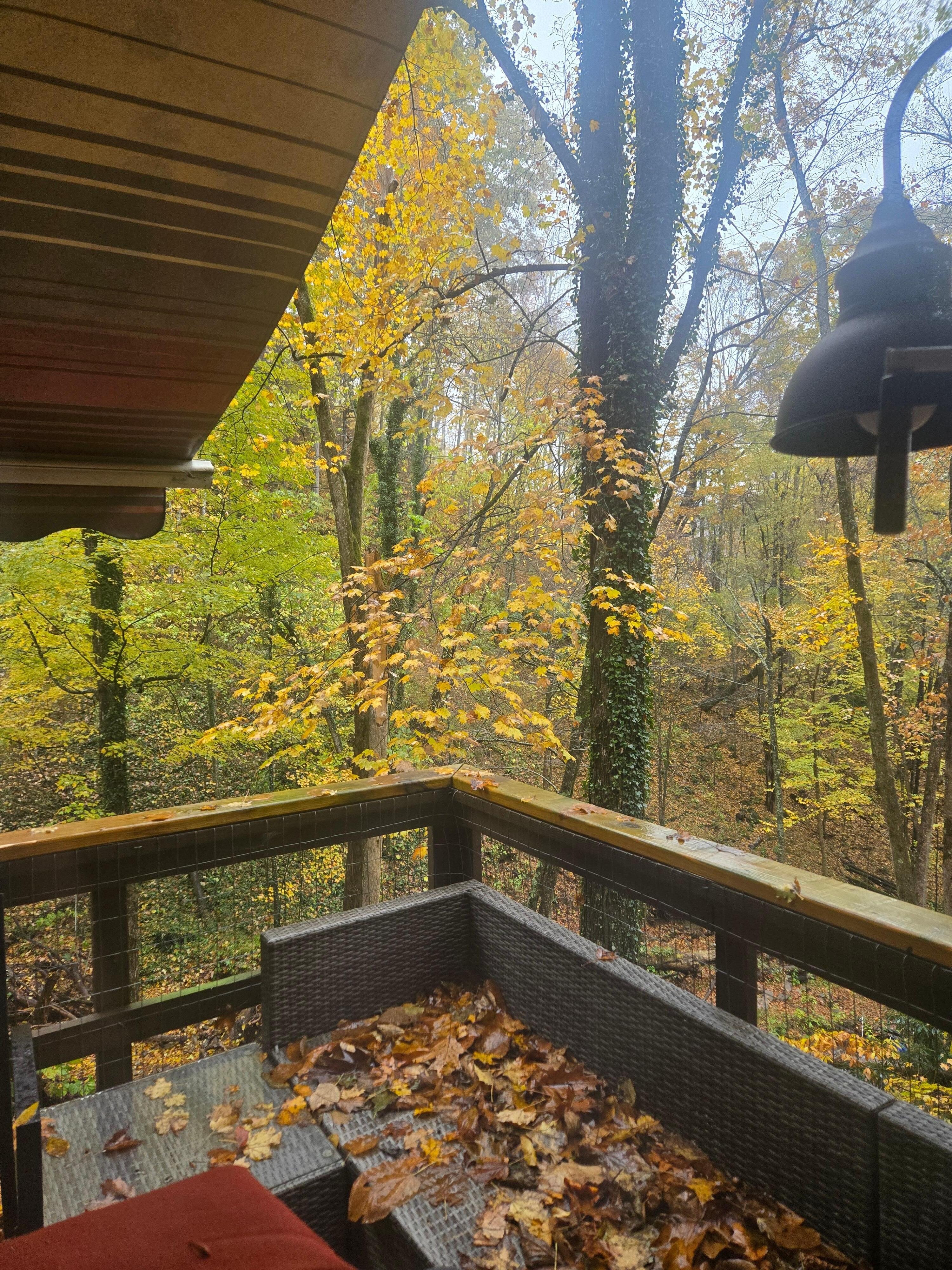 Beautiful fall foliage the entire trip.