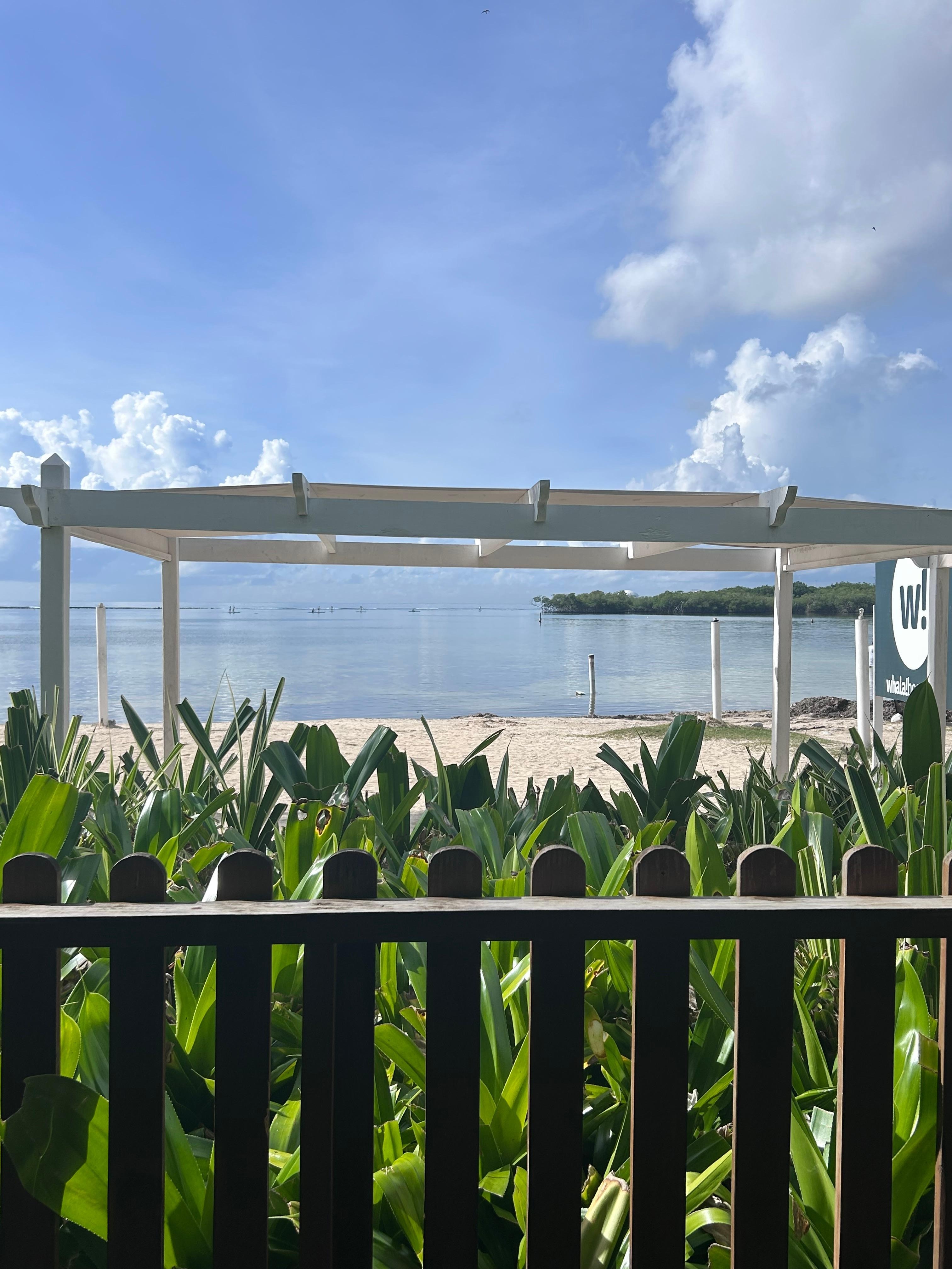 View from the dining hall