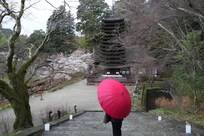 Tanzan Shrine 2min. from hotel