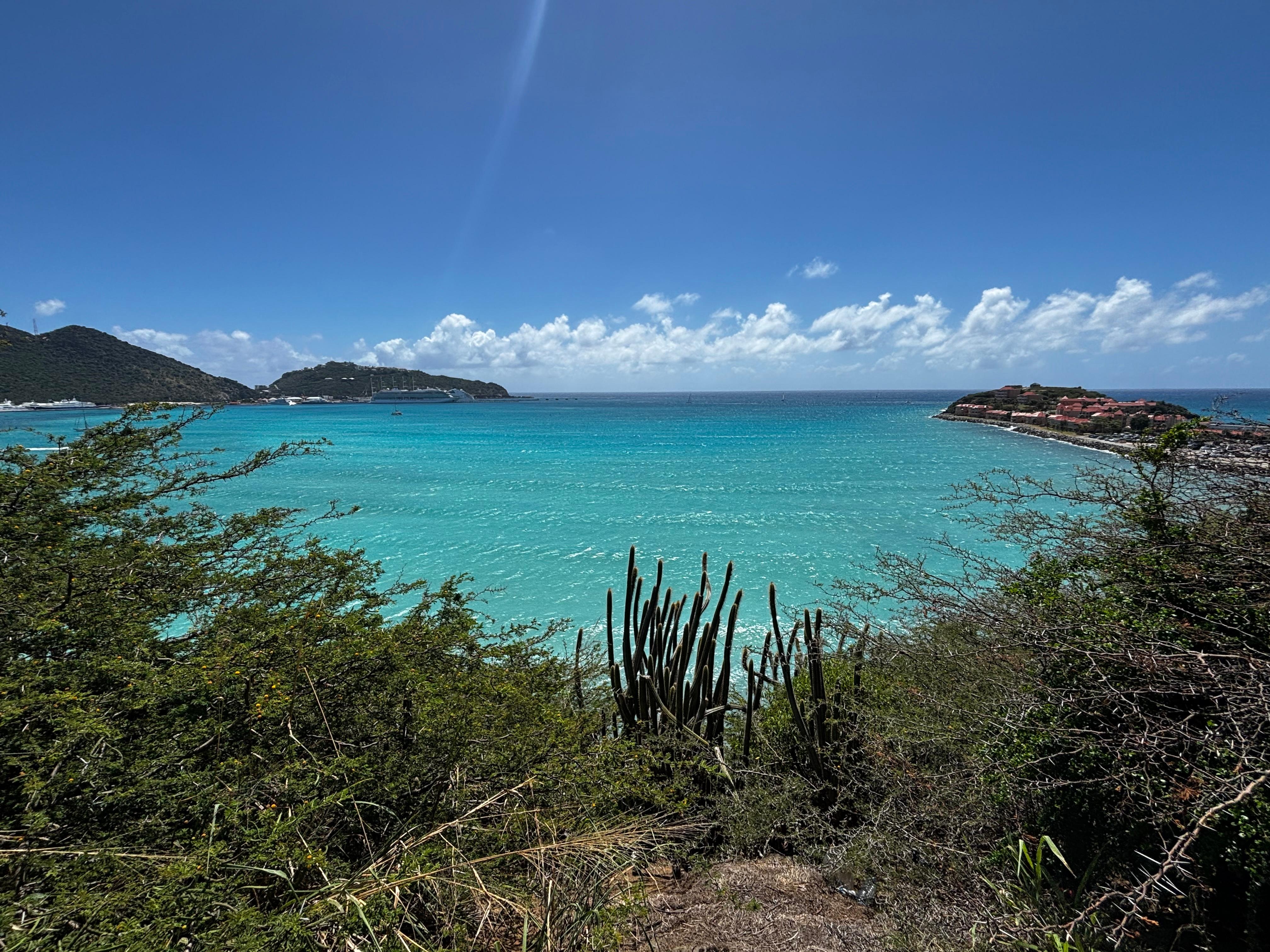 View from the green space on property