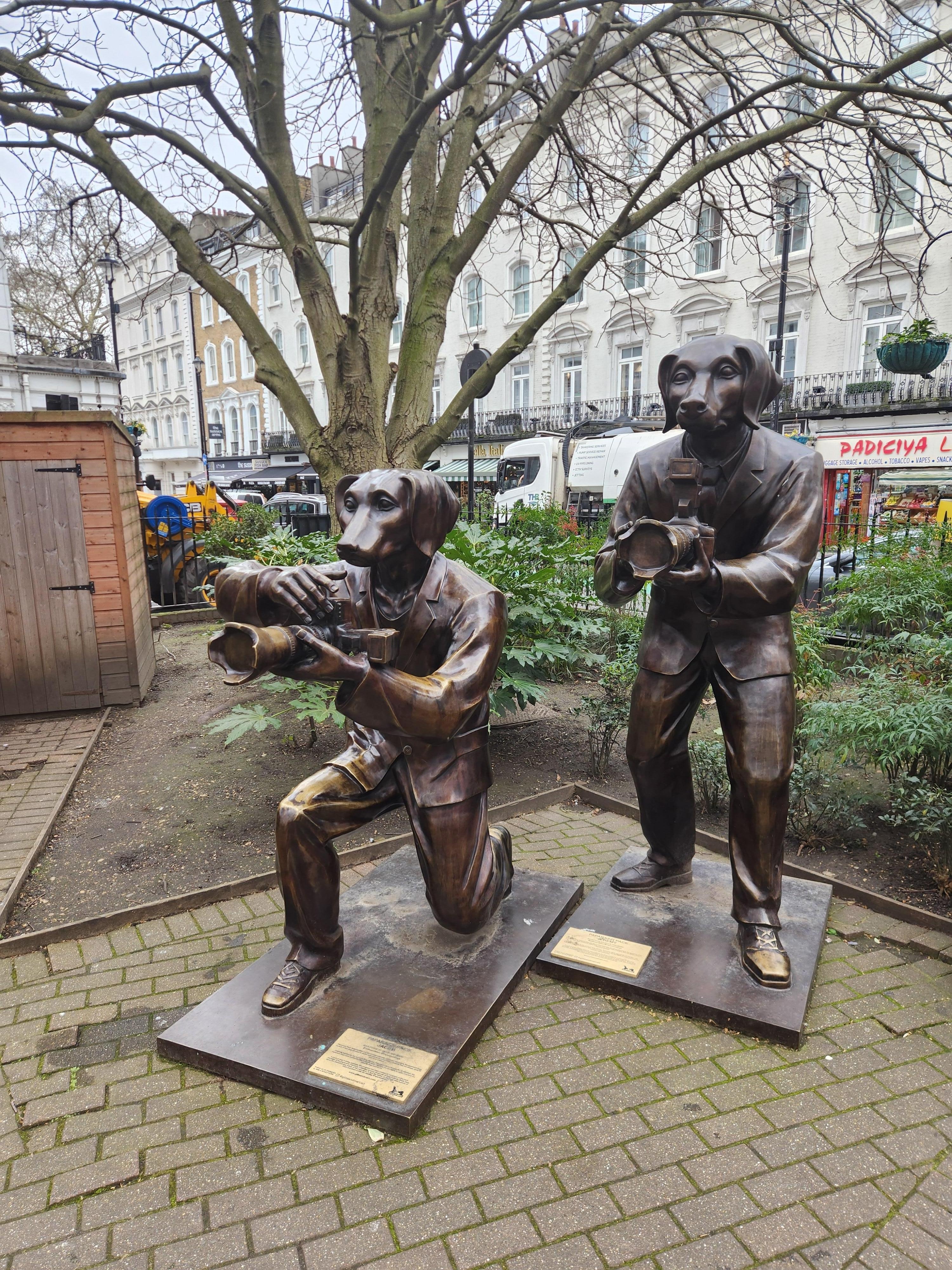 Frente al hotel tendrás un área verde con bancos y acogedor. 
