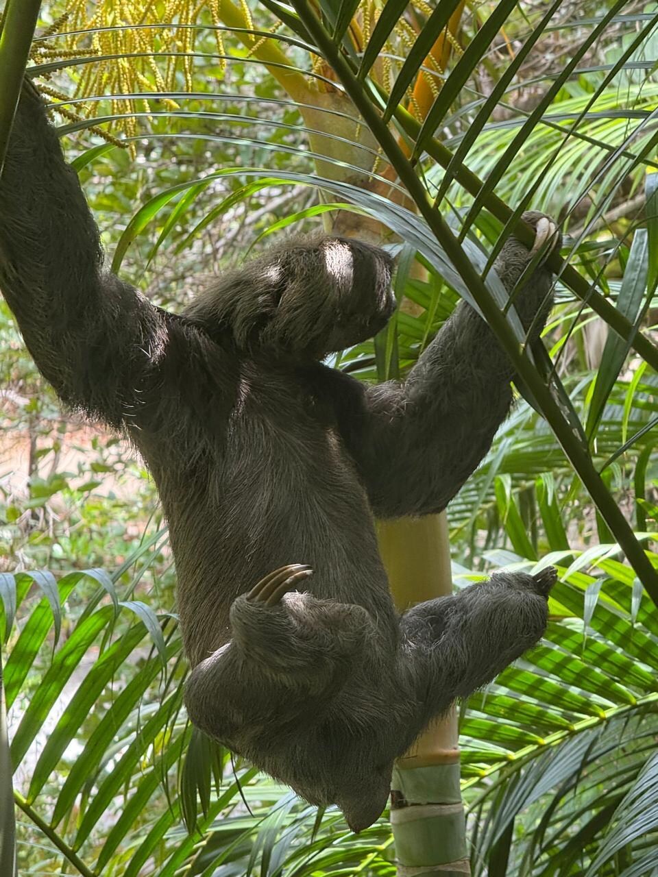 Da janela lateral 🎼do quarto de dormir..