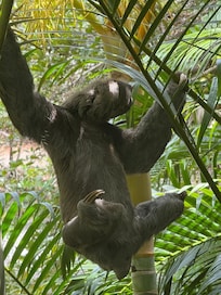 Da janela lateral 🎼do quarto de dormir..