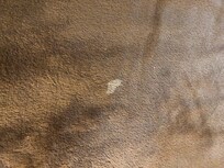 Condition of blanket