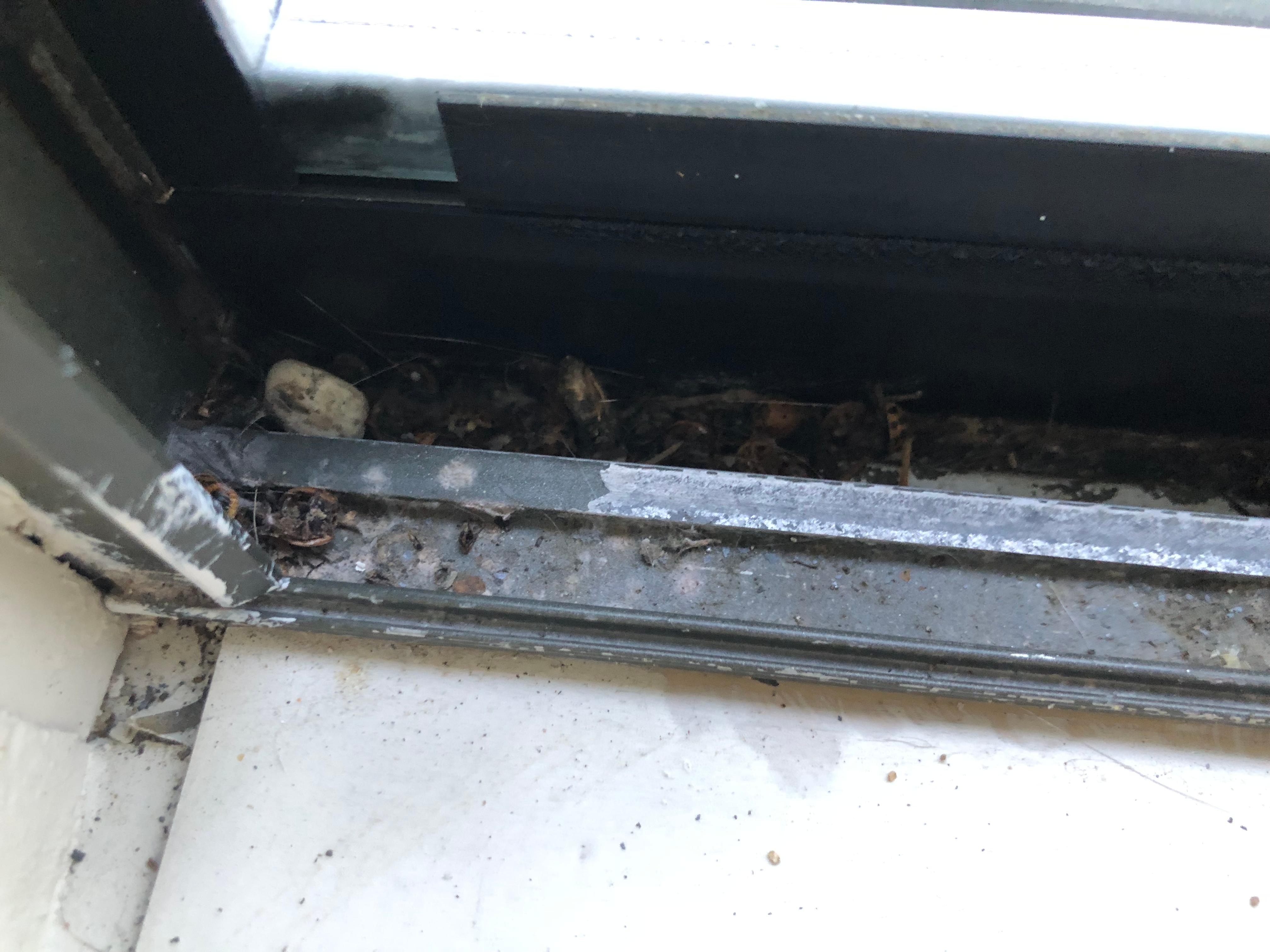 Window tract