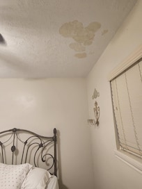 Water damage in ceiling, not leaking but unpainted