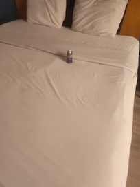 A Bug Bomb On Top Of The Mattress In Room 202 Jacuzzi Suite.