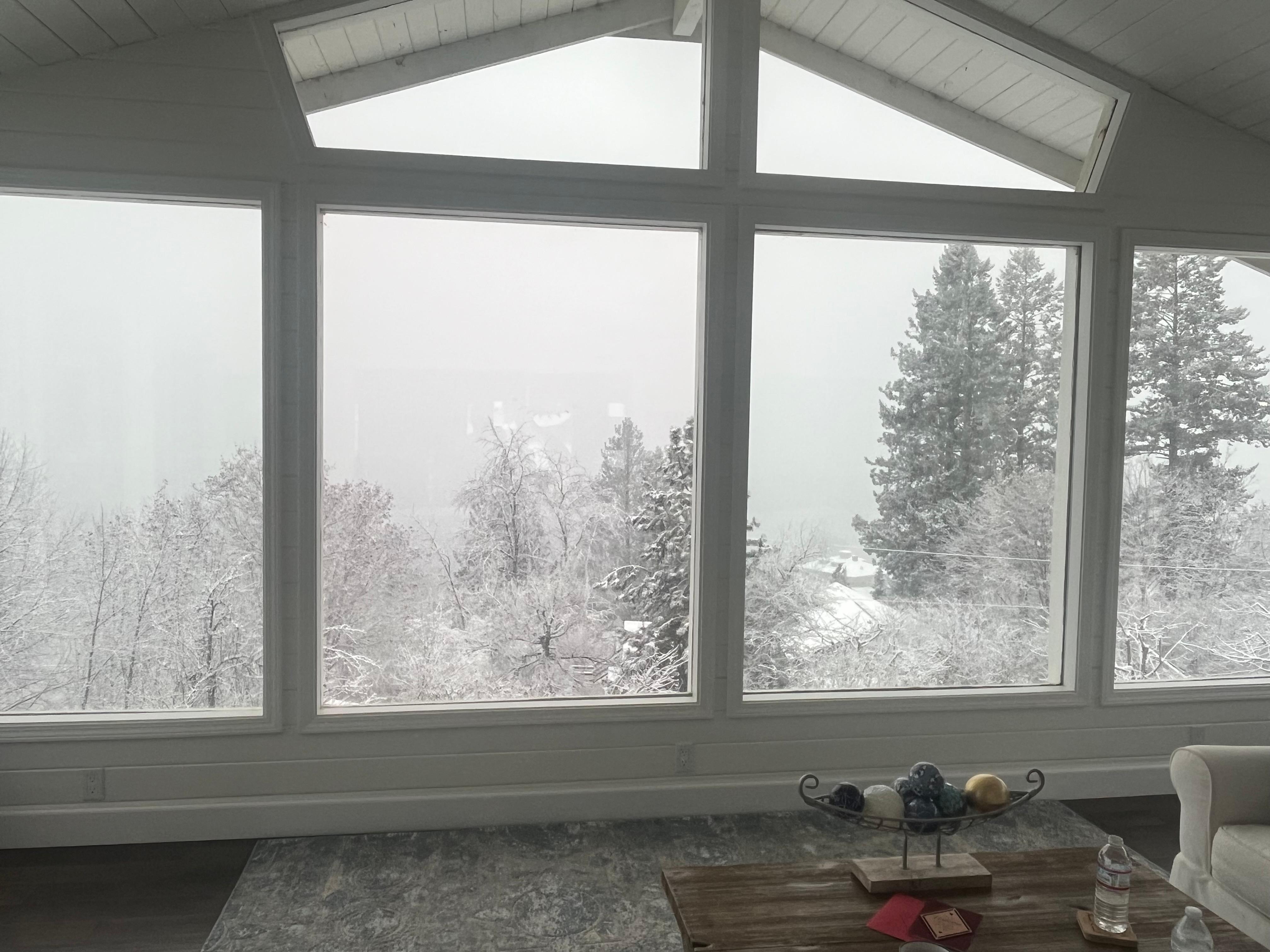 Snowy morning view