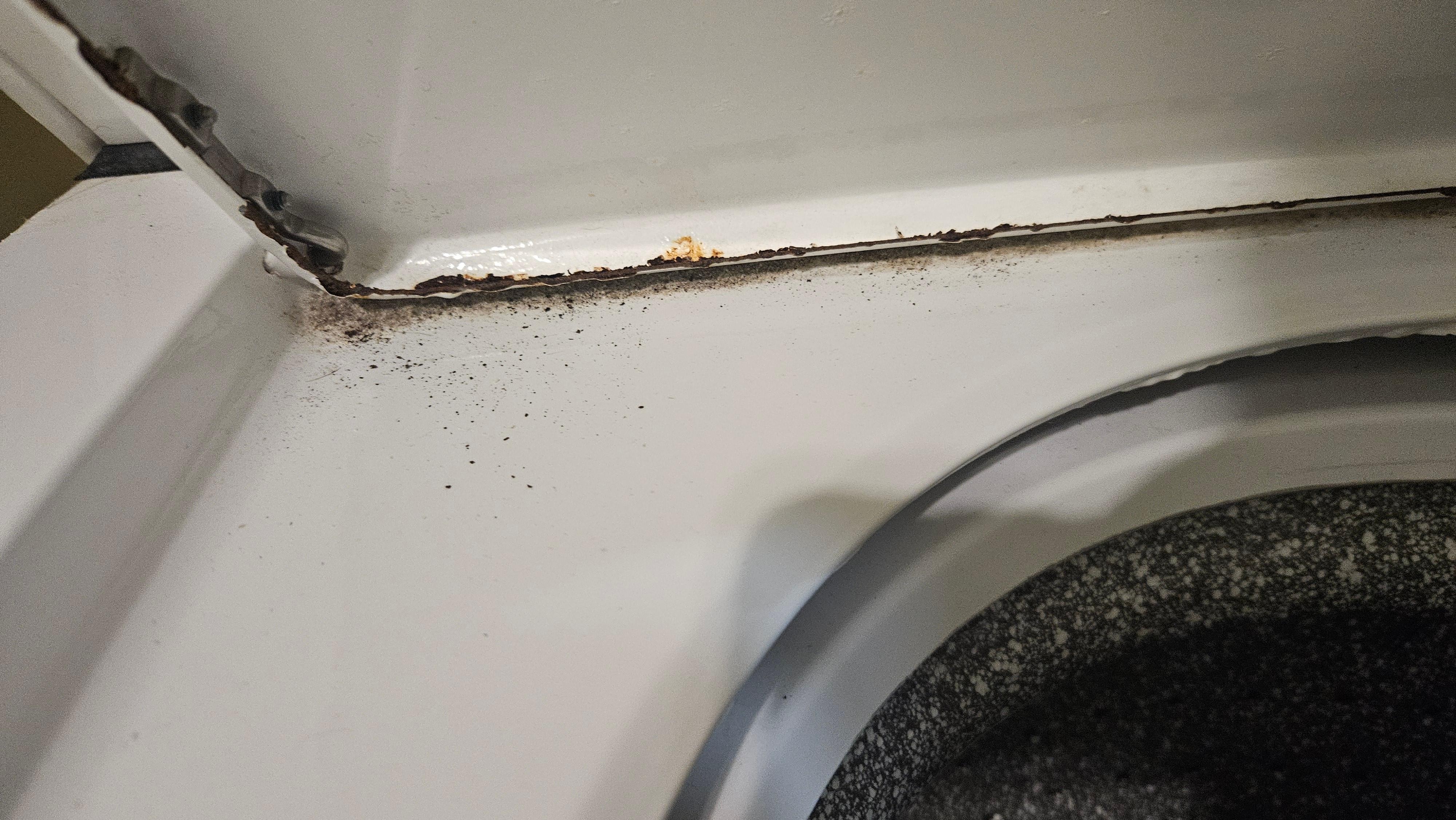 Rust on washer (more inside could not get a good pic bc it was dark)