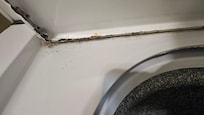 Rust on washer (more inside could not get a good pic bc it was dark)
