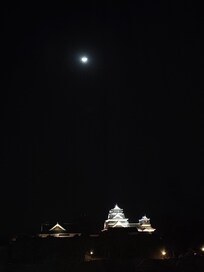 部屋からの景色