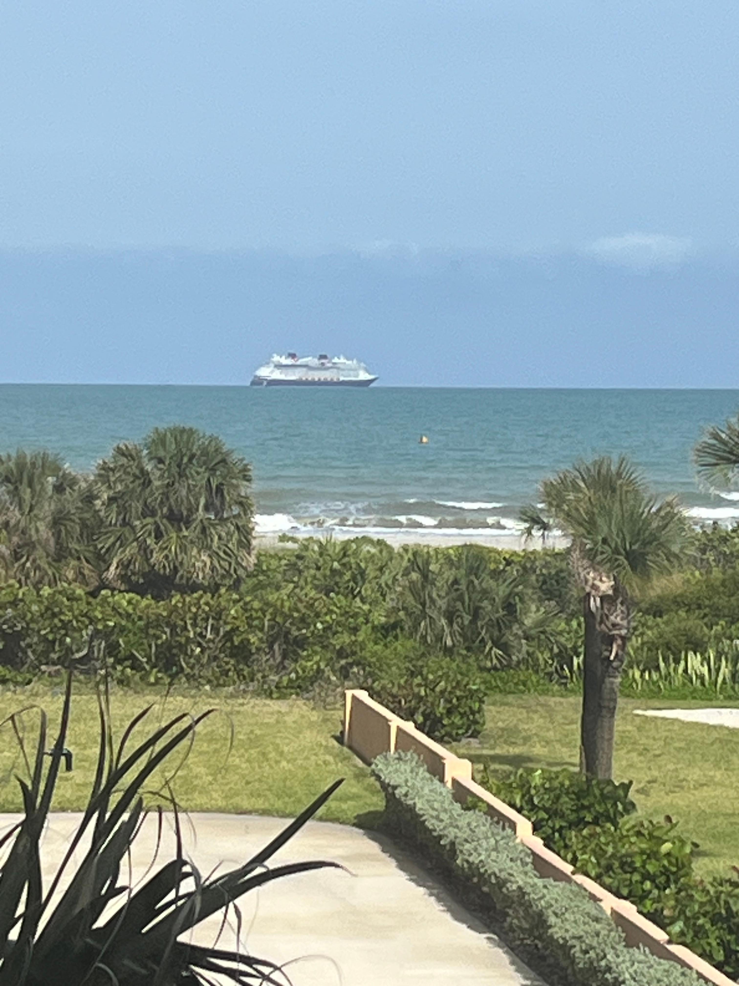 From living room window. Lots of cruise ships passed by