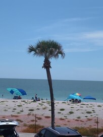 From the brass monkey one of our favorite spots. Great food, service and view