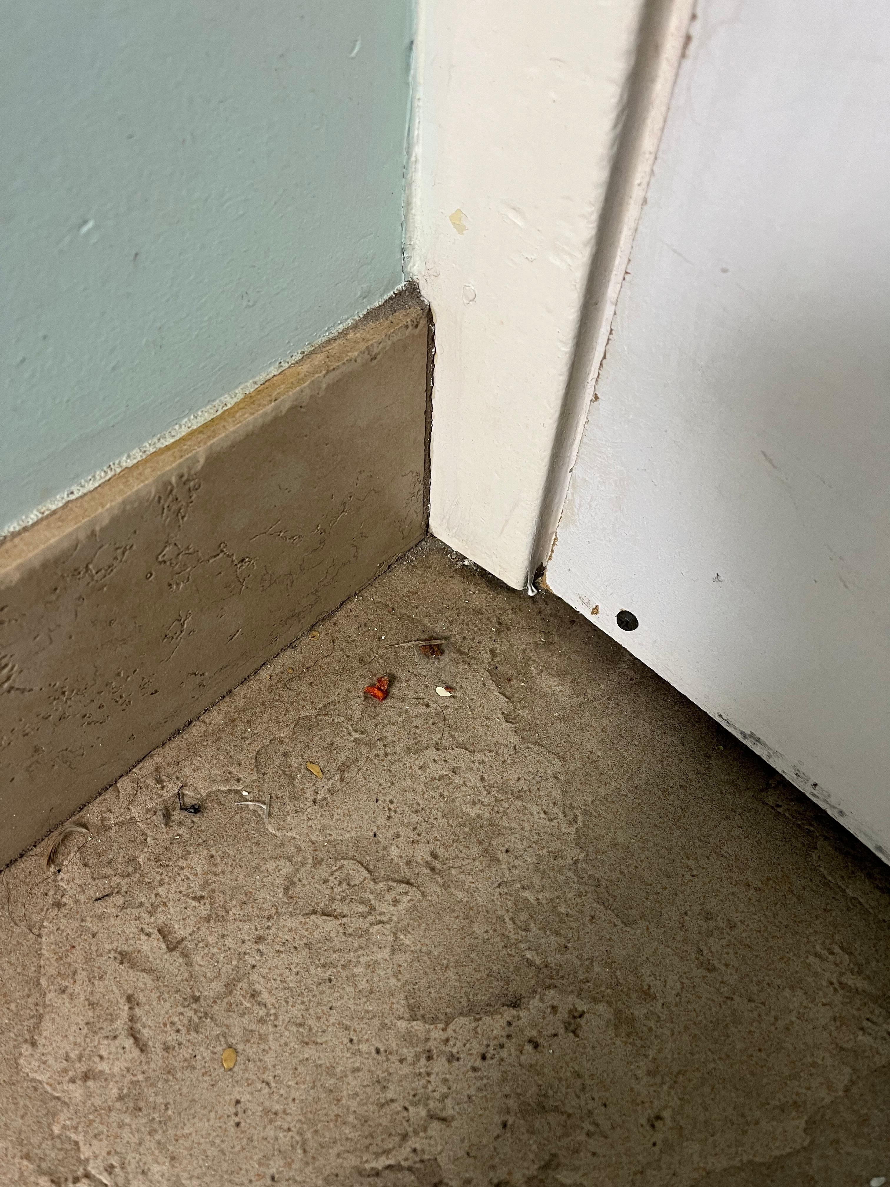 filthy floor and crumbs, garbage