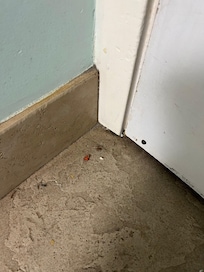 filthy floor and crumbs, garbage