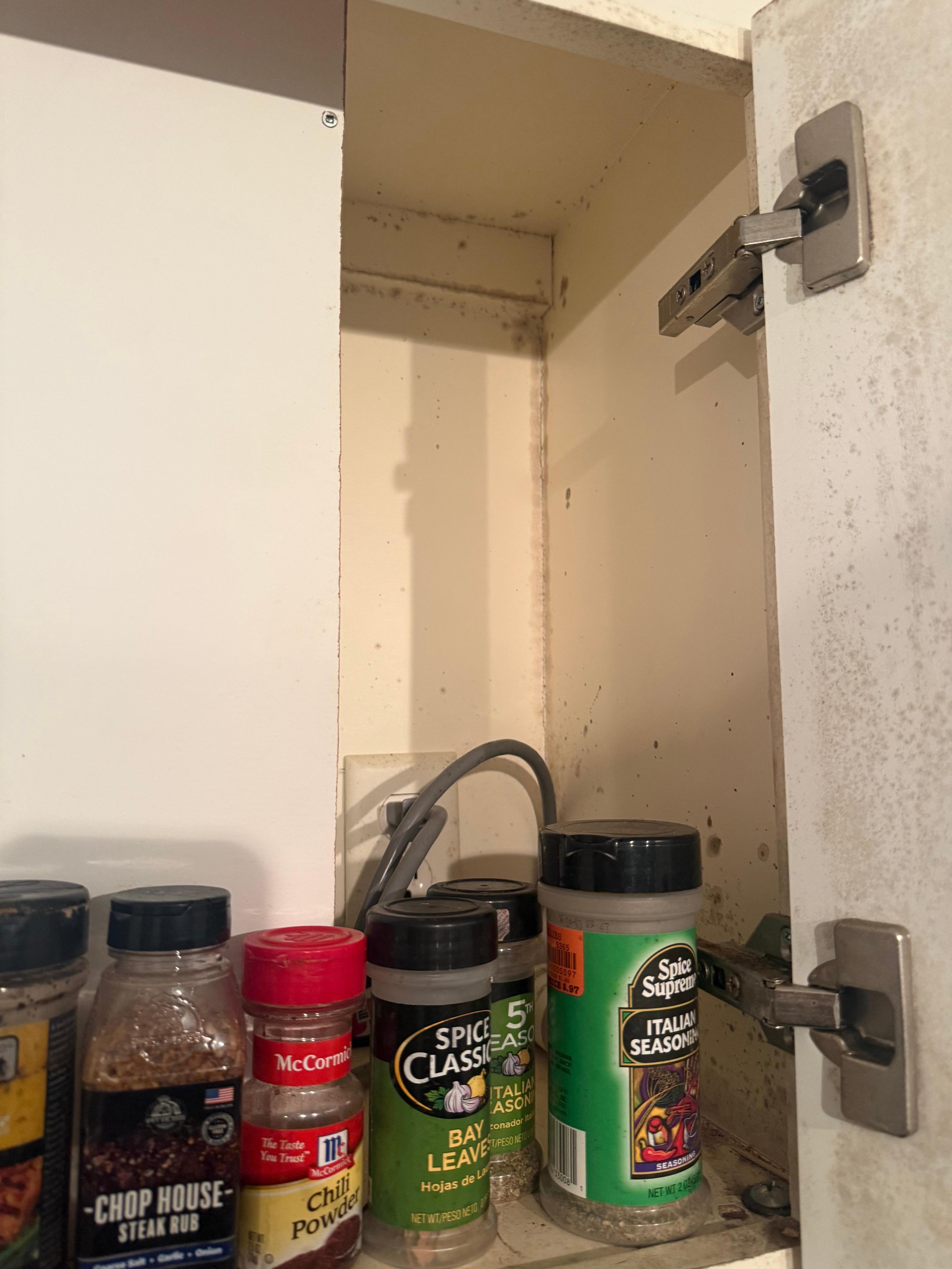 Black mold