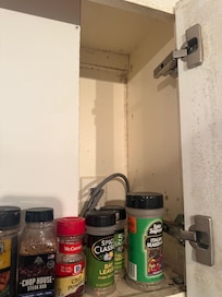 Black mold
