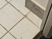 Broken tiles throughout