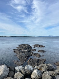 View from the mineral pool.
