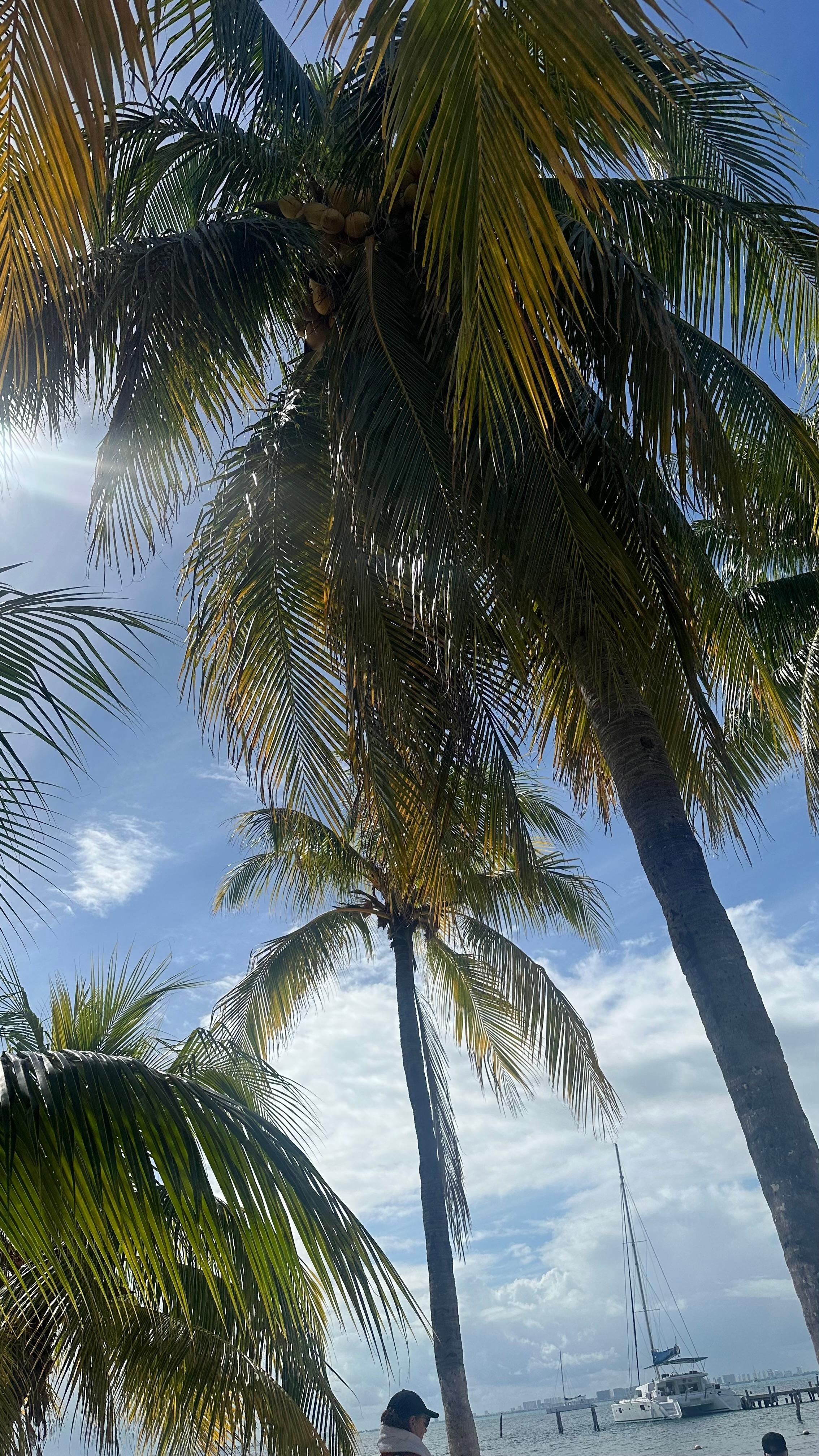 Beautiful ocean view and beach 