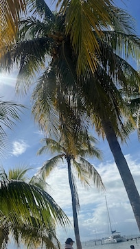 Beautiful ocean view and beach