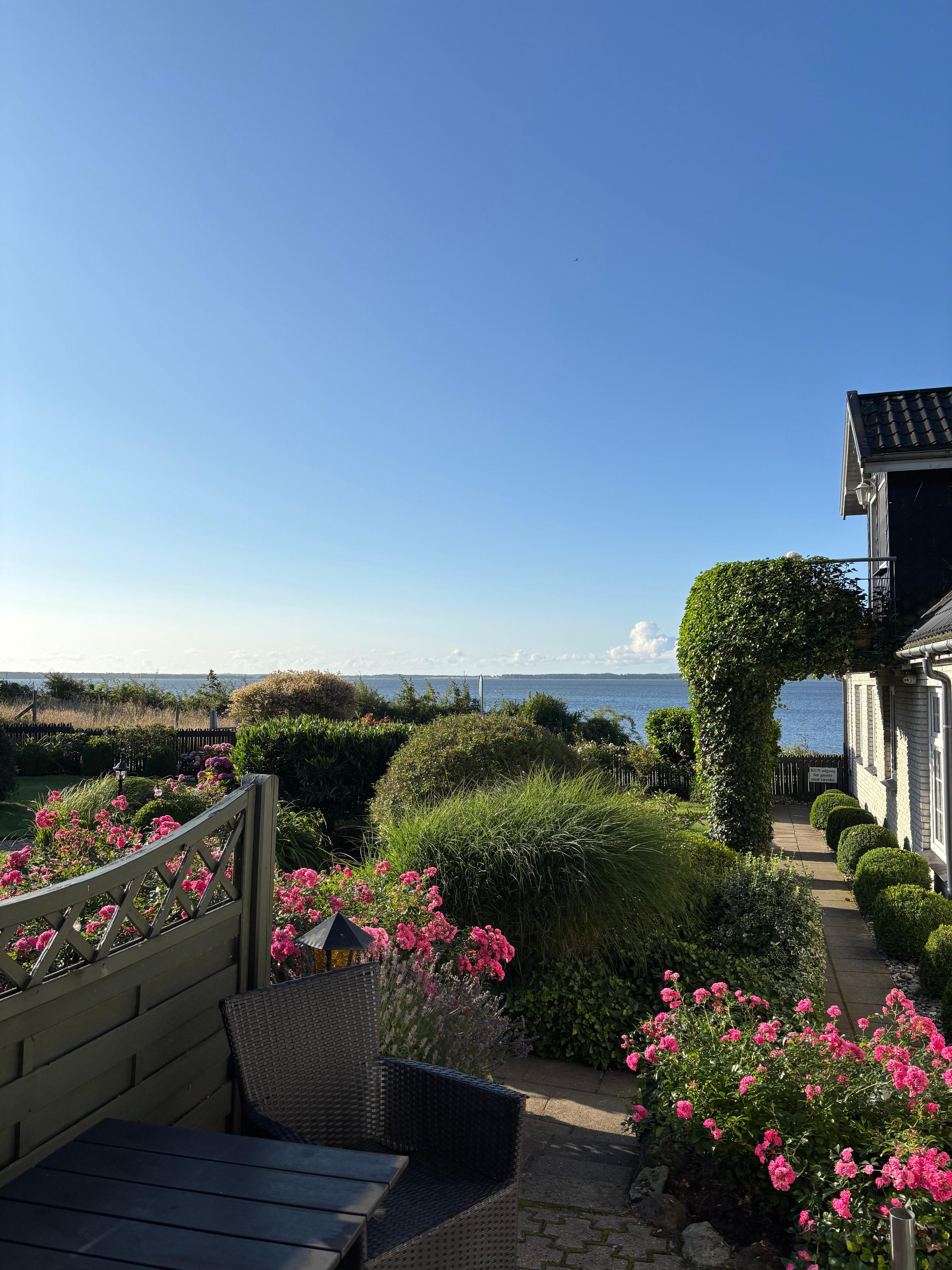 Udsigten fra vores bærelse