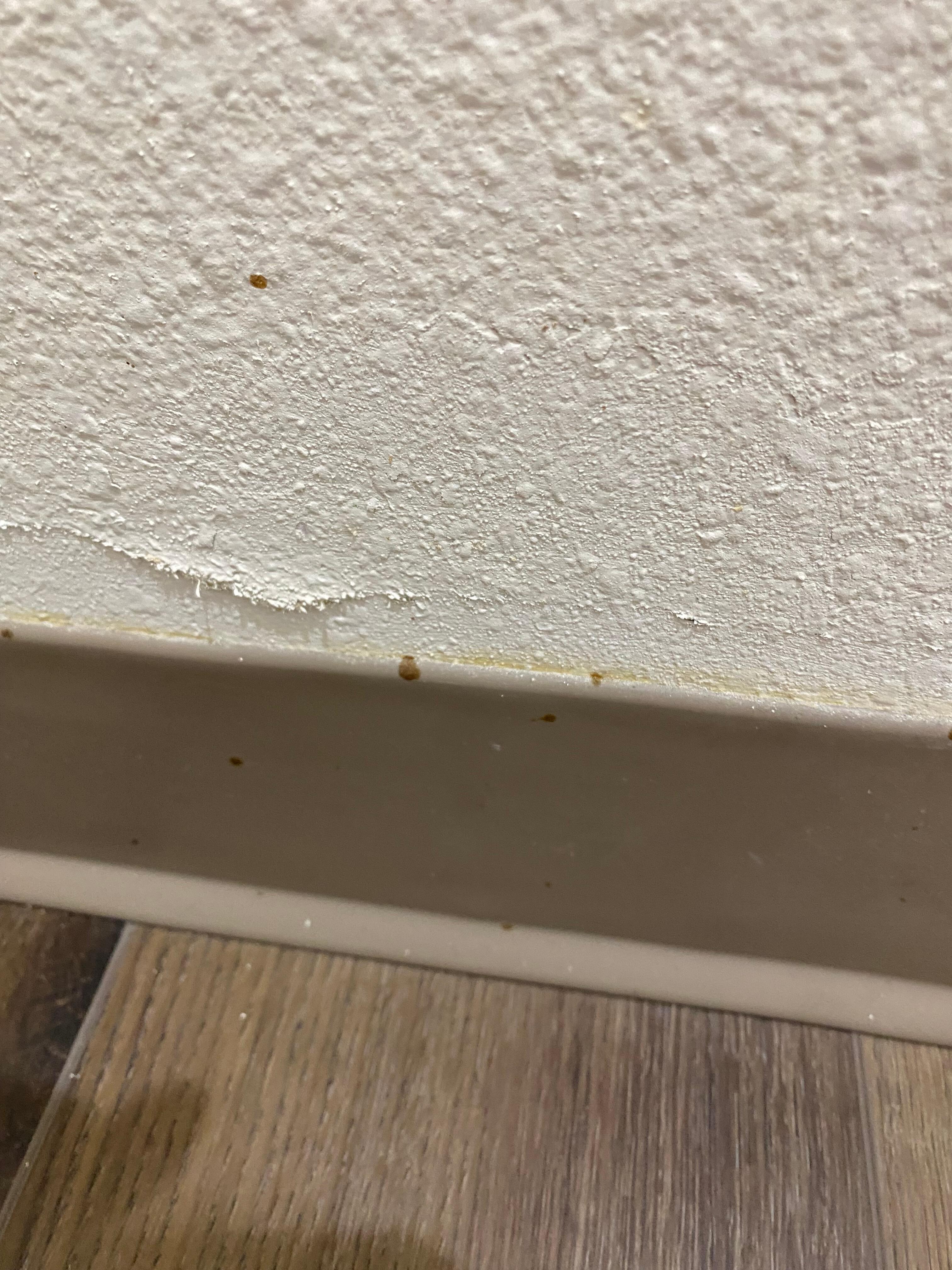 Feces splatter