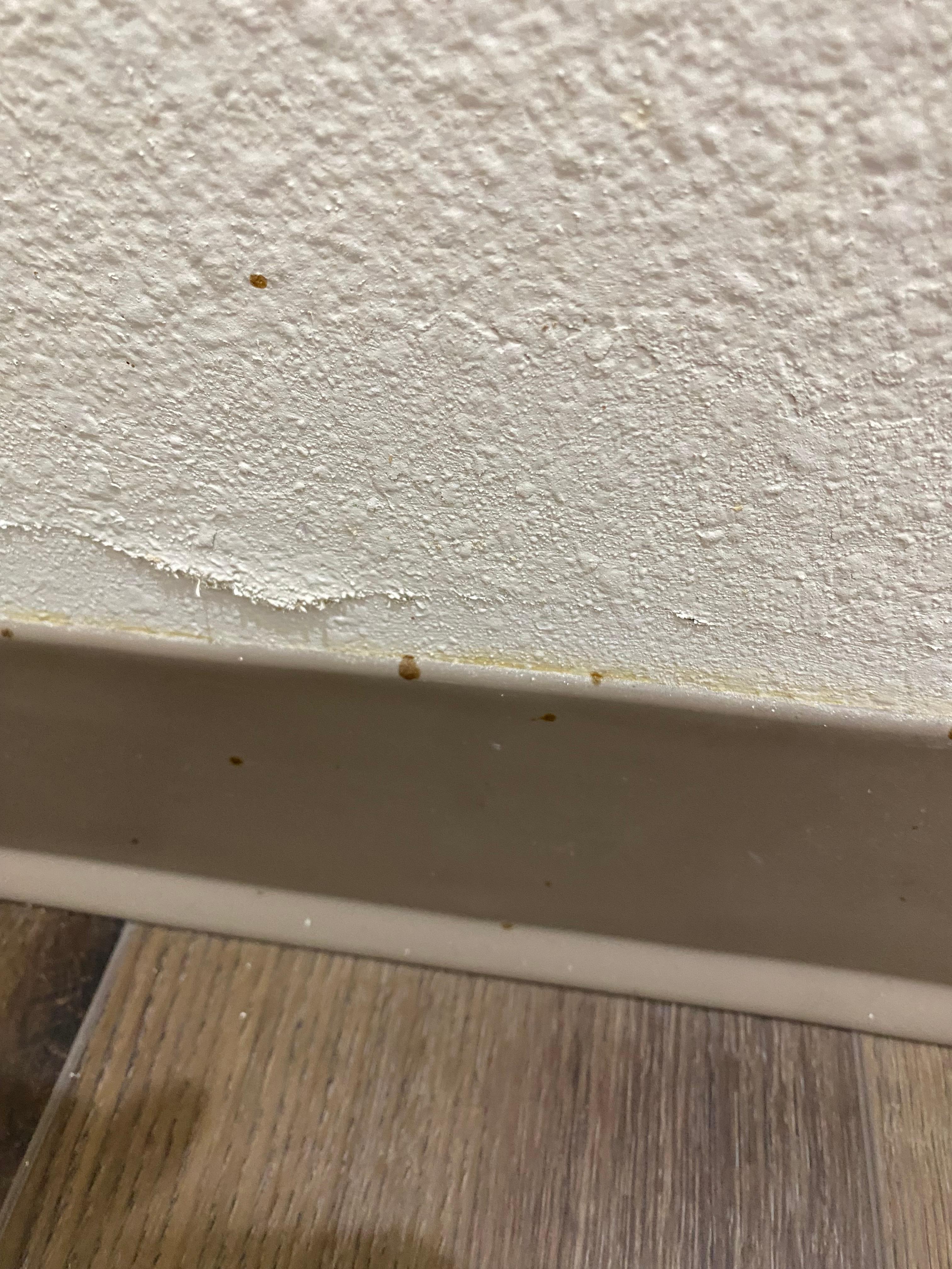 Feces splatter