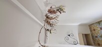 The branches on the wall that had spiderwebs. I would also get my hair caught in them as they hang quite low and stick out.