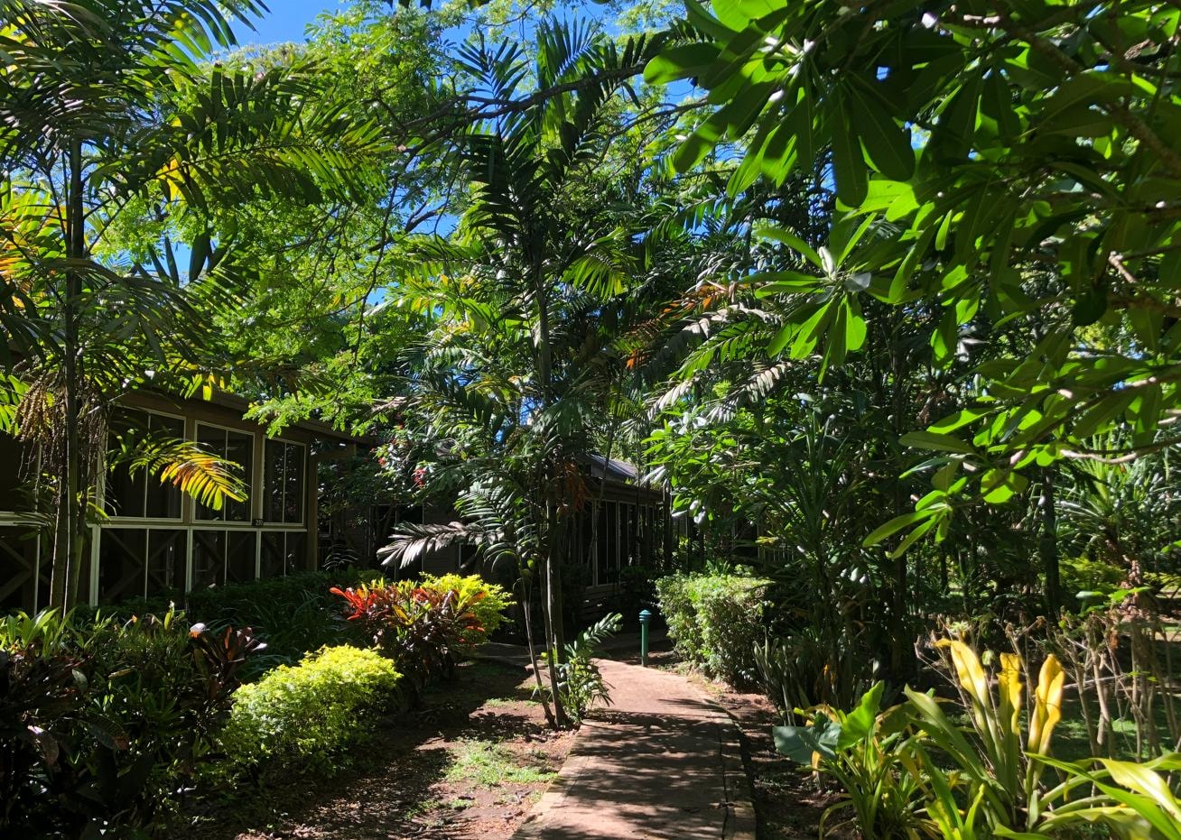 Garden with a unit on the left