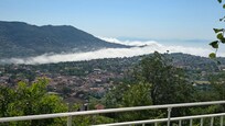 View from terrace